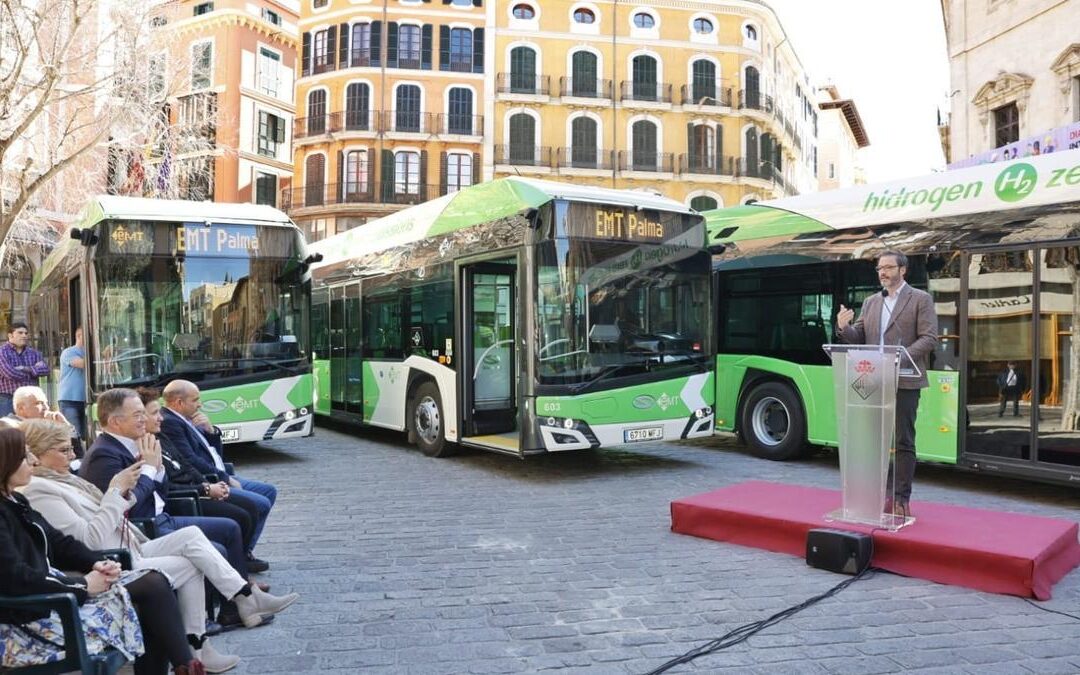 Palma de Mallorca, zöld buszok